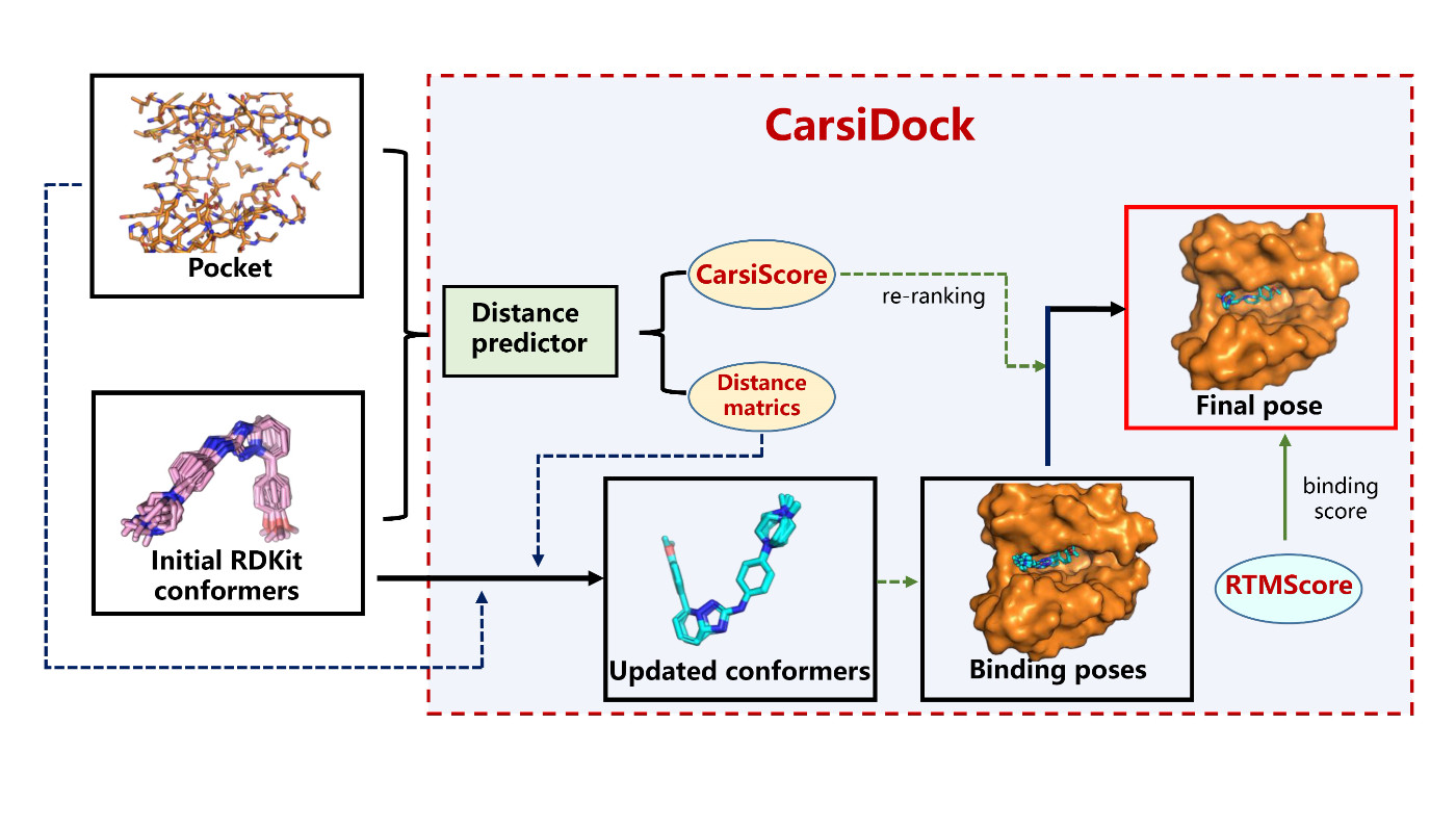 Molecular Docking with CarsiDock.