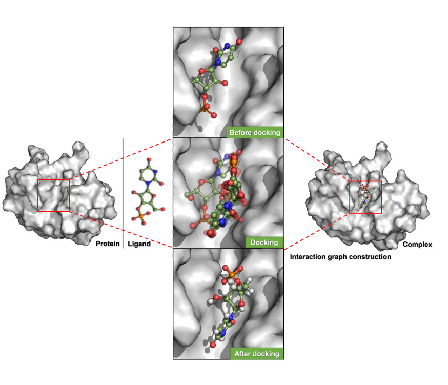 Molecular Docking with KarmaDock.
